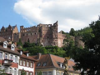 Ruins of Heidelberg Castle amidst the Forest