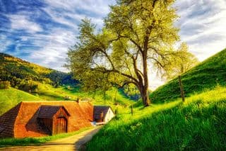 Springtime in Münstertal Farm Country