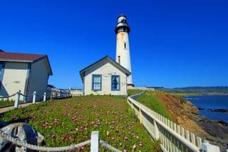 Pigeon Point Lighthouse amidst Spring Wildflowers