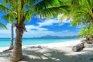Pristine Beach Palms in Malcapuya Island, Coron, Philippines