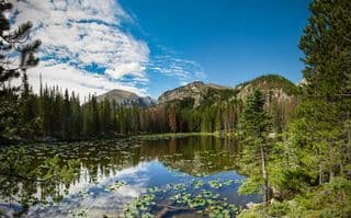 Nymph Lake Reflections in Rocky Mountains