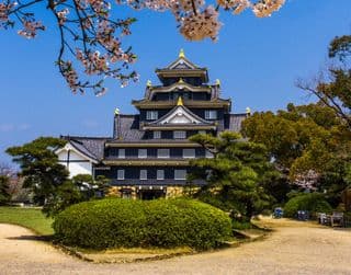 Okayama Castle under Cherry Blossoms