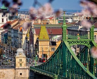 Liberty Bridge in Spring Blossoms, Budapest