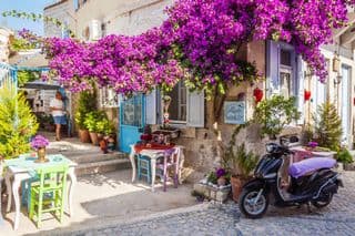 Vibrant Bougainvillea Cafe in Alacati, Turkey