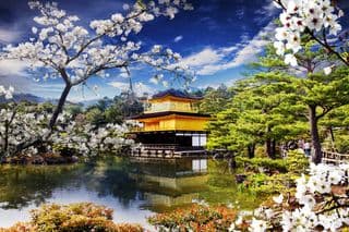 Kinkaku-ji amidst Cherry Blossoms