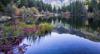 Autumn Reflection at Lizard Lake, Colorado