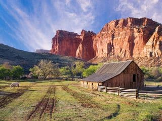 Horse Grazing in the Canyon Shadows