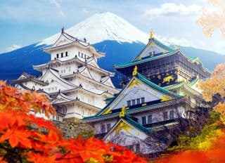 Himeji Castle amidst the Blossoms of Mount Fuji