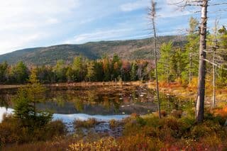 Autumn Reflection in White Mountains National Forest