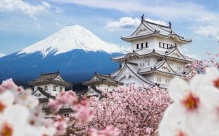 Mount Fuji and Himeji Castle in Cherry Blossom Season