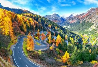 Autumnal Splendor at the Maloja Pass