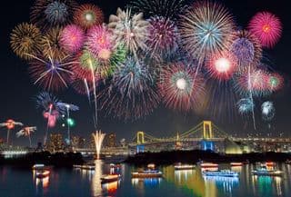 Tokyo Bay's Magnificent Fireworks Display