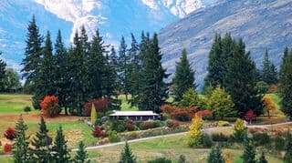 Autumnal Splendor at Lake Tekapo, New Zealand