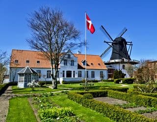 Traditional Danish Windmill amidst Springtime Beauty