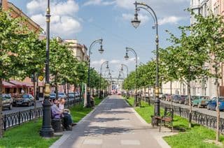 Avenue of Lush Trees in St. Petersburg