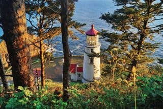 Illuminating Path: Lighthouse by the Sea