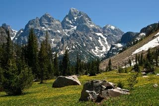 Spring in the Tetons