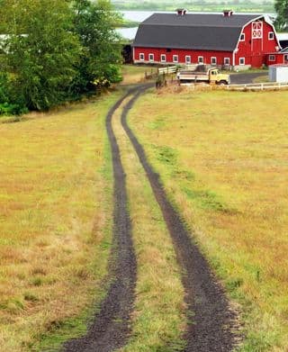 Country Lane to the Red Barn
