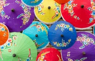 Vibrant Thai Borsang Umbrellas