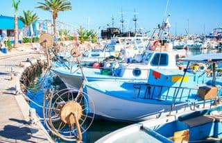 Bright Boats at the Old Port of Marseille