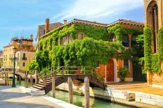 Ivy-covered Bridge Over Venetian Canal