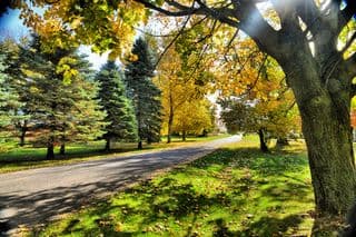 Autumnal Road in Bellefonte, PA