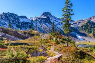 Alpine Autumn at Mount Baker