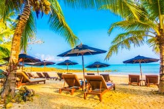 Tropical Paradise Sunbathing Spot