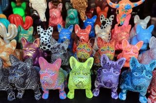 Colorful Hand-Painted Bulldogs