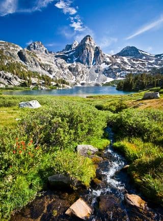 Spring in the Sierra Nevada Mountains