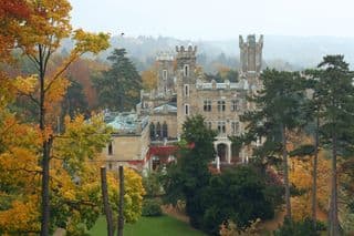 Autumnal Elegance of Dresden Castle amidst Forest