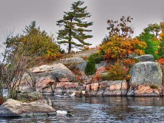 Autumnal Serenity at Burleigh Falls