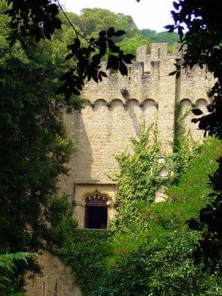Ancient Castle Amidst the Forest
