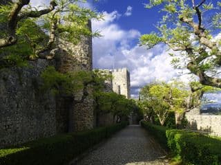 Medieval Fortress Pathway