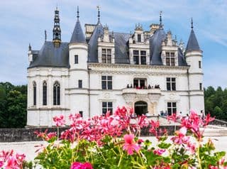 Château de Chenonceau: A Renaissance Jewel amidst Blooms