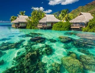 Overwater Bungalows in the Tropical Paradise