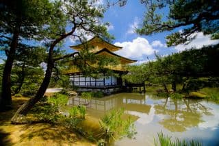 Golden Pavilion Temple amidst verdant pond