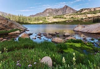 Mt. Alice Reflecting in Lower Lion Lake