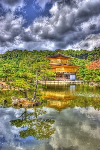 Kinkaku-ji Temple Reflection in Pond
