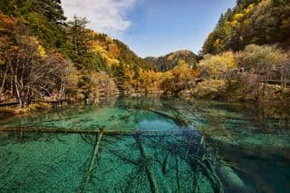 Emerald Lake in Jiuzhaigou Valley National Park