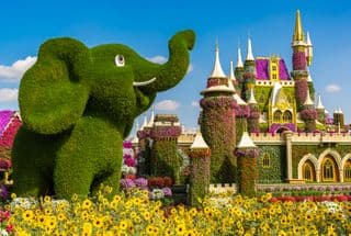 Elephant Topiary in Dubai Miracle Garden