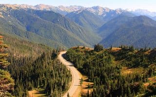 Road through the Forested Mountains
