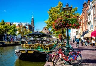 Bicycles Leaning Against Flower-Filled Lamp Posts in Leiden, The Netherlands