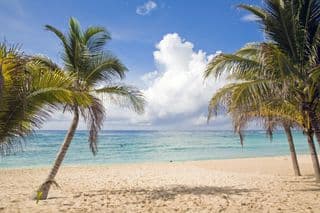 Palm-fringed Paradise at the Riviera Maya