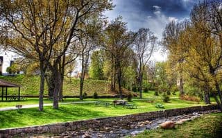 Springtime at Lincoln Park
