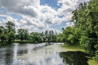 A Pond in Saint Petersburg