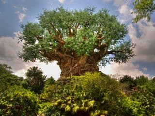 Avatar's Tree of Life in Disney World