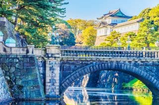 Traditional Japanese Imperial Palace amidst Springtime Blossoms