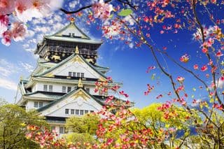 Osaka Castle in Cherry Blossom Season