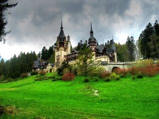 Enchanted Castle amidst the Forest
